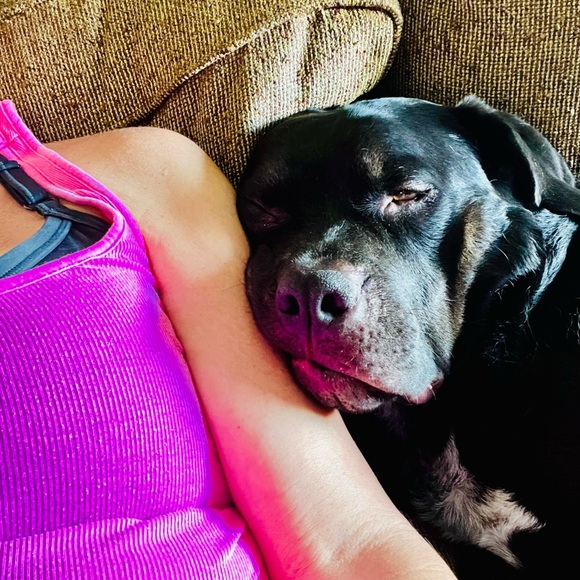 🌟POSH AMBASSADOR🌟 - Picture 5 of 6